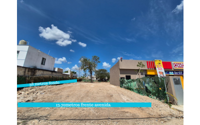 Terreno en renta en Real Caucel, a un lado de Oxxo