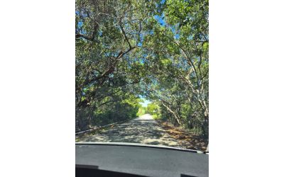 Terreno en venta en Dzilam de Bravo, frente al mar